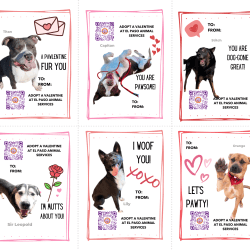 Pawlentine’s Cards