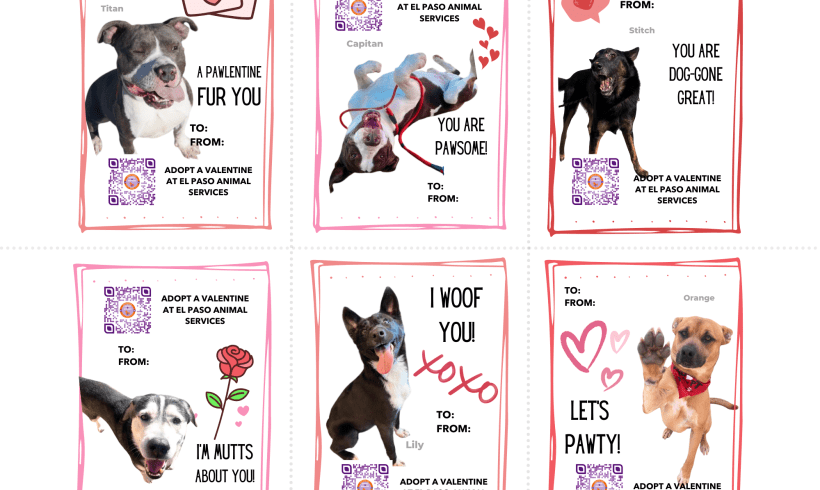 Pawlentine’s Cards