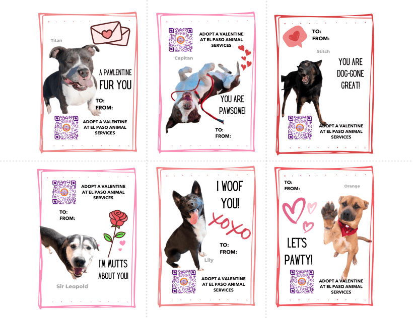 Pawlentine’s Cards Pawlentine’s Cards